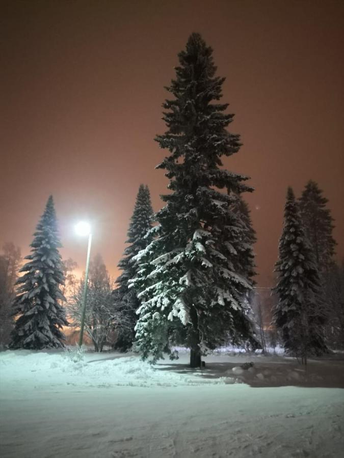 Appartamento Kontiomäki Esterno foto